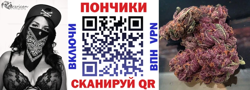 Шишки марихуана гибрид  Рузаевка 